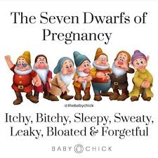 the_seven_dwarfs_of_pregnancy